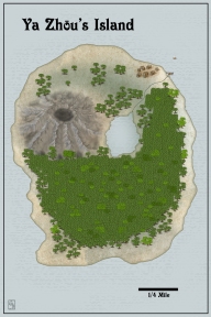 Zhous Island 3x4 and one half