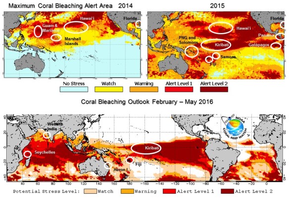 Major Coral Bleaching Event